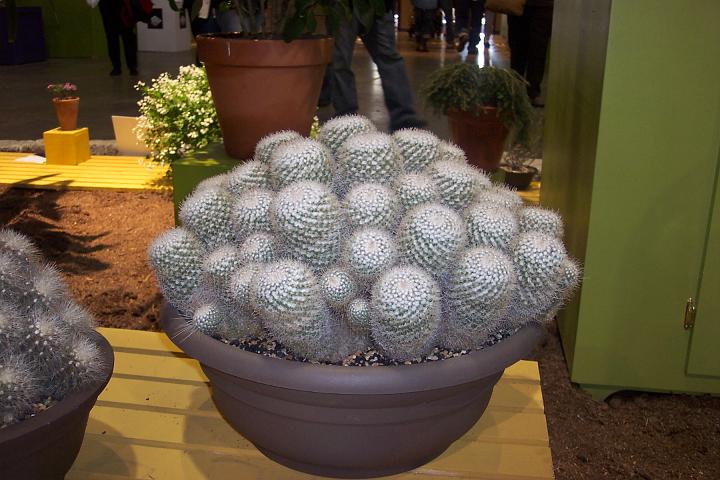 L_W 040.jpg